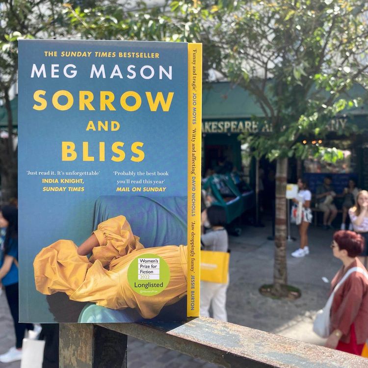 cover art for Meg Mason on Sorrow and Bliss