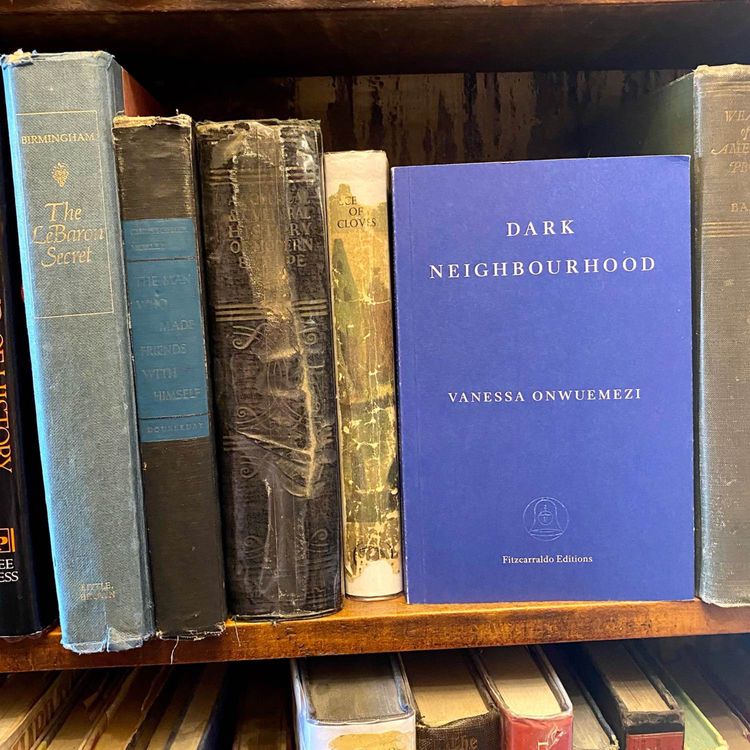 cover art for đ„On Darkness, Fables and Heartbreak, with Vanessa Onwuemeziđ„