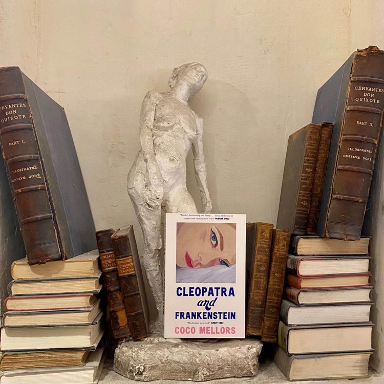 cover art for 💋On Love, Loss and Life in New York, with Coco Mellors💋