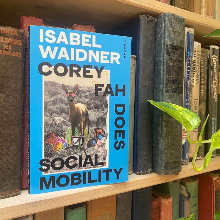 cover art for On Writing, Wormholes, and Wasted Opportunities, with Isabel Waidner