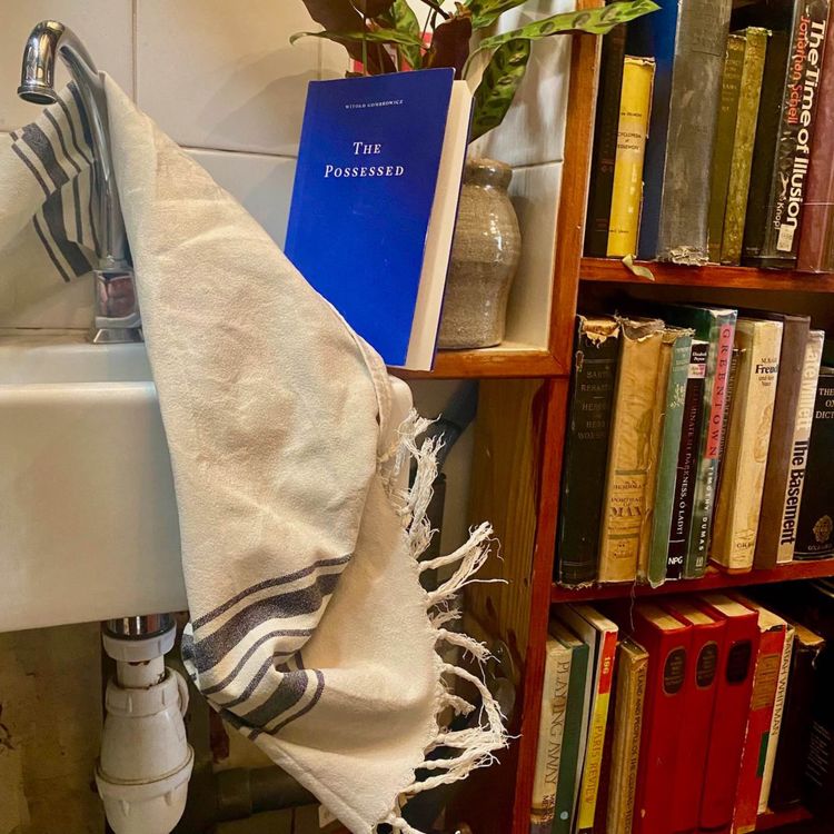 cover art for 😱On Witold Gombrowicz’s The Possessed, with Antonia Lloyd-Jones and Adam Thirlwell😱