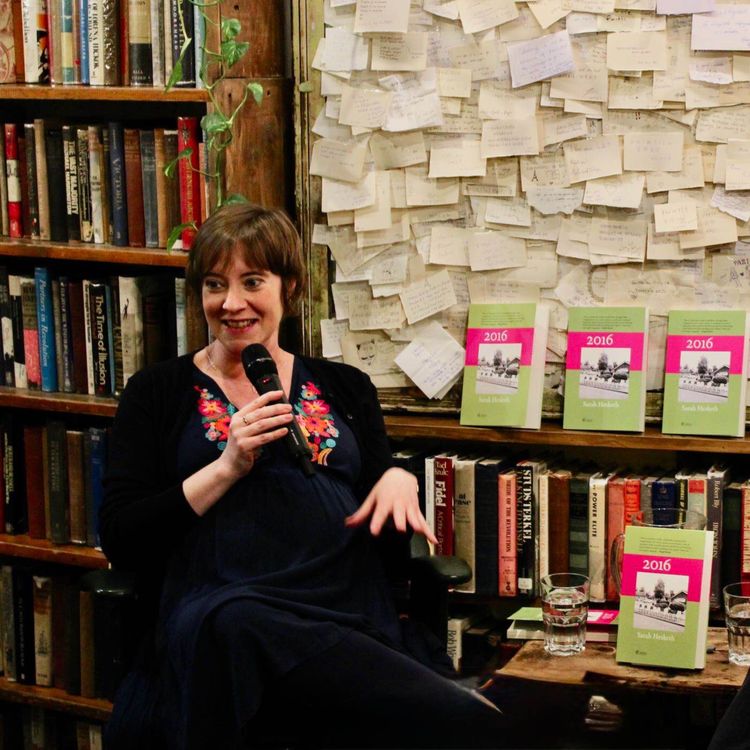 cover art for 2016: The Year That Broke Us - with poet and oral-historian Sarah Hesketh