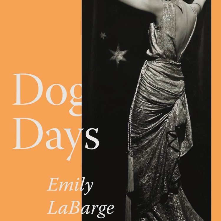 cover art for Narrative Amid Trauma: Emily LaBarge in conversation