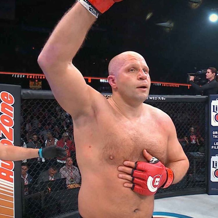 cover art for Fedor's last fight, and UFC Fight Night: Lewis vs Spivak