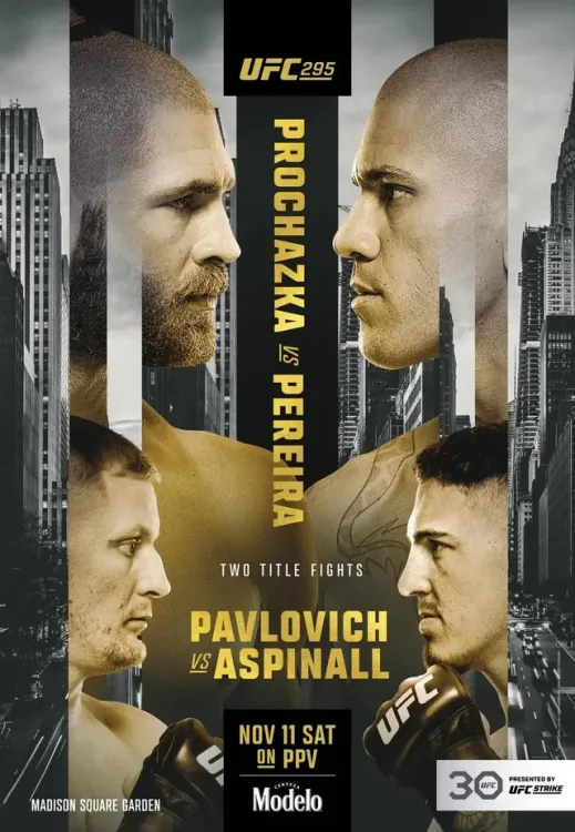 cover art for UFC 295 Prochazka vs Perreira Preview
