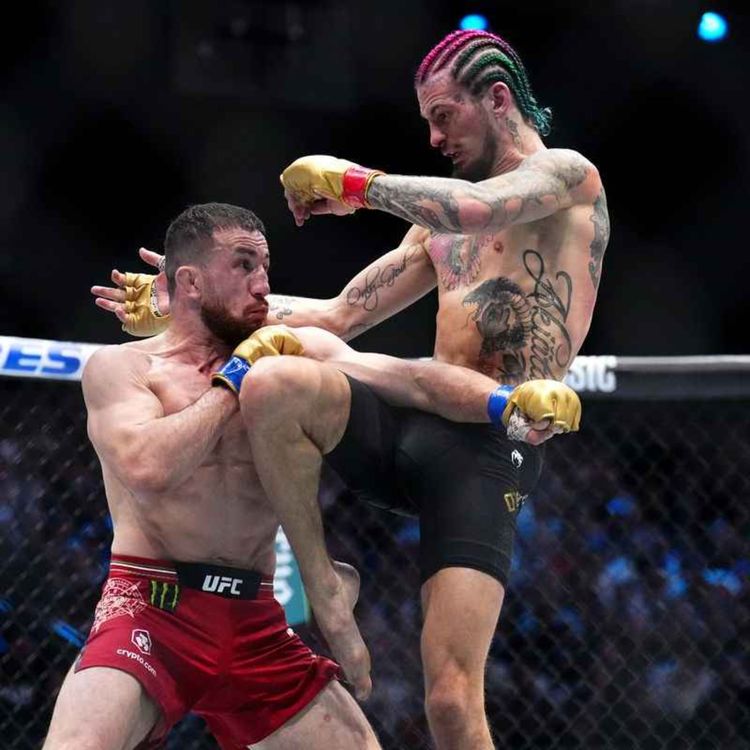 cover art for UFC 316: Dvalishvili vs O'Malley preview