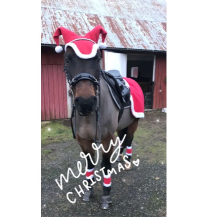 cover art for När är det dags att ta beslutet?