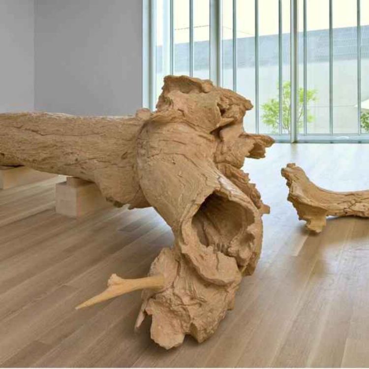 cover art for 4 - Hinoki