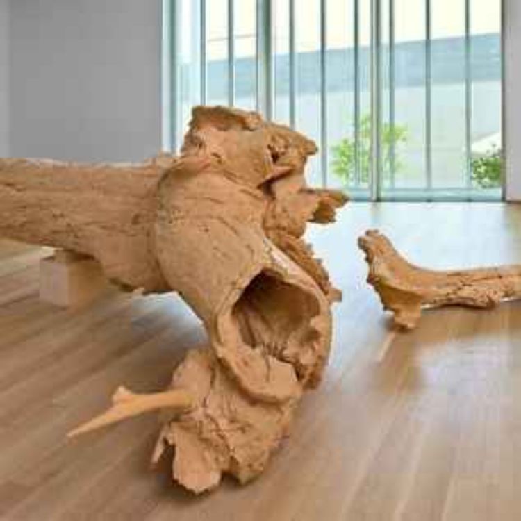 cover art for 4 - Hinoki