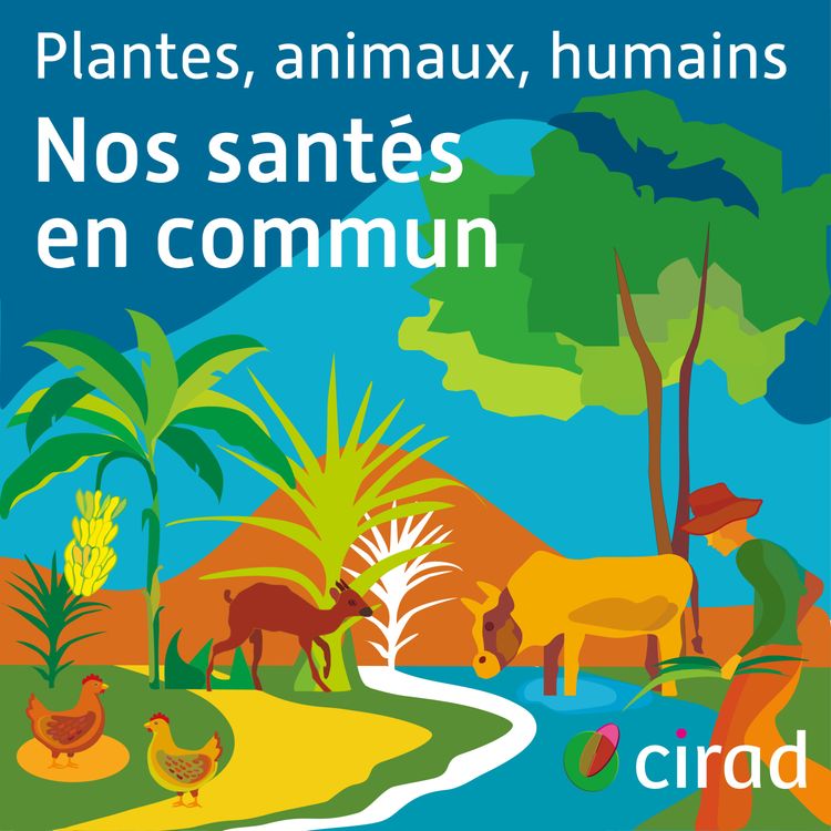 cover art for [SAISON 4] Plantes, animaux, humains : nos santés en commun