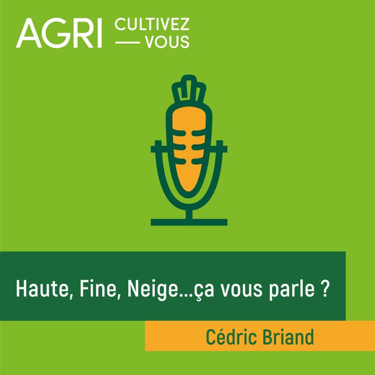 cover art for Haute, Fine, Neige...ça vous parle ?