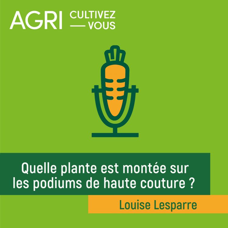 cover art for Quelle plante est montée sur les podiums de haute couture ?