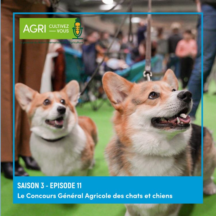 cover art for Le Concours Général Agricole des chats et chiens