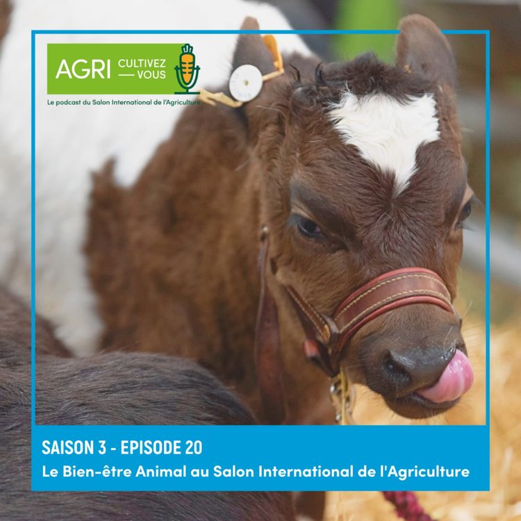 cover art for Le Bien-être Animal au Salon International de l'Agriculture