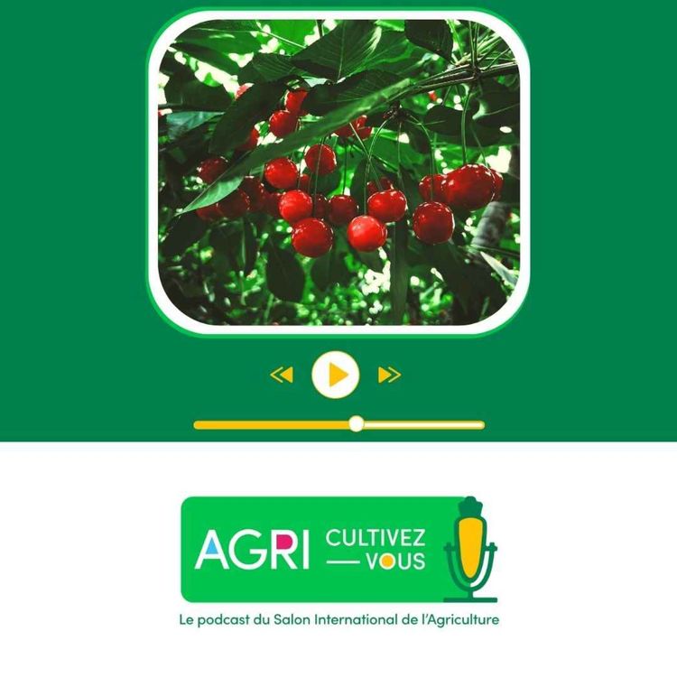 cover art for Dans les coulisses de la production fruitière