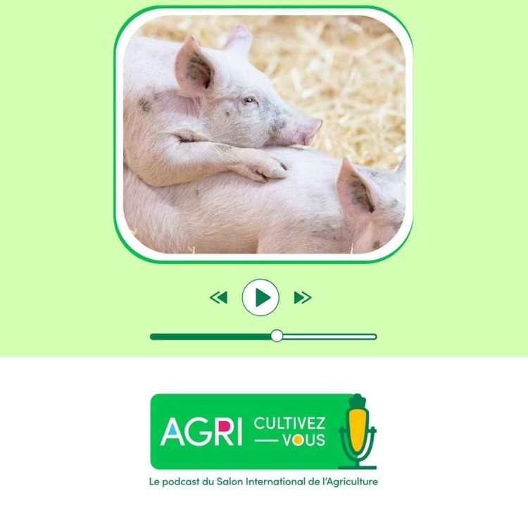 cover art for Anecdotes, idées reçues... Vous saurez tout sur le cochon !