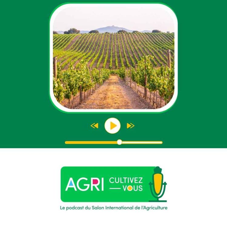 cover art for Pourquoi y a-t-il des rosiers au bout des vignes ?