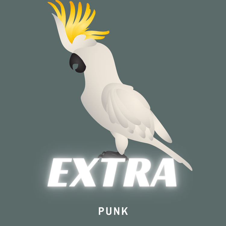 cover art for Punk