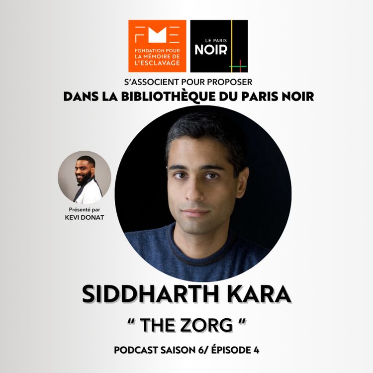 cover art for Episode 30 : The Zorg with Siddharth Kara