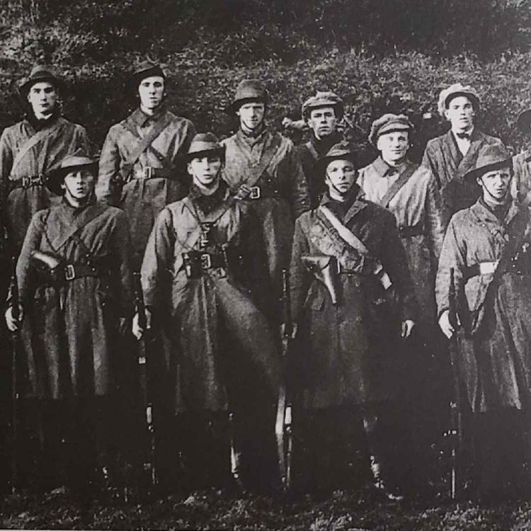 cover art for 81.2 Irish War of Independence