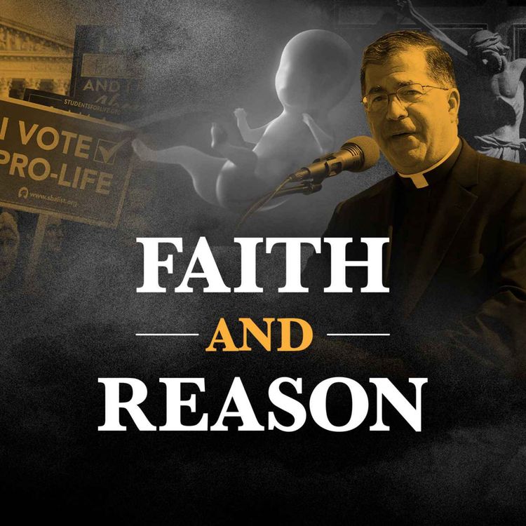 cover art for Cardinal McCarrick BETRAYED Us | Frank Pavone