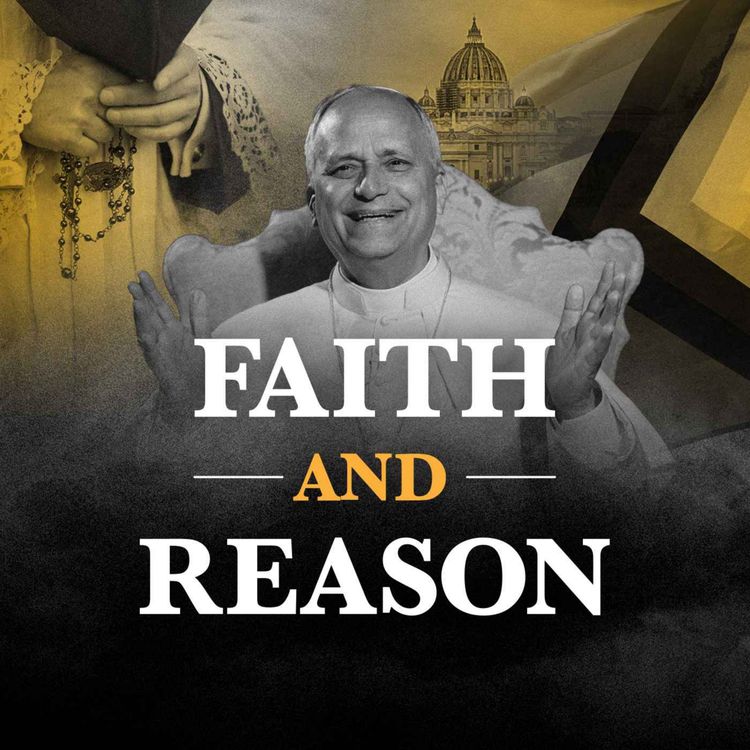 cover art for Boy Refused Confirmation for Calling LGBT nonsense while Cardinals and Bishops Promote It.