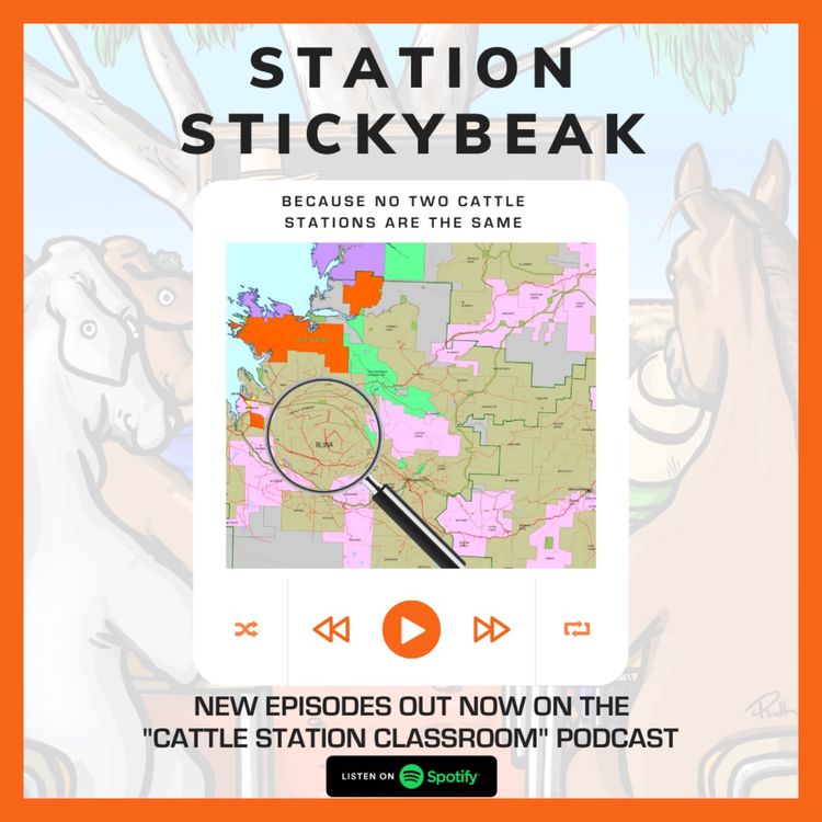 cover art for A [STICKYBEAK] into Lyndon Station