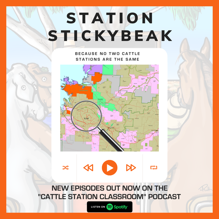 cover art for A [Stickybeak] into Billa Kalina Station