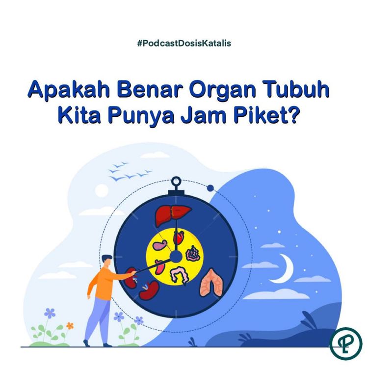 cover art for Apakah Benar Organ Tubuh Kita Punya Jam Piket?