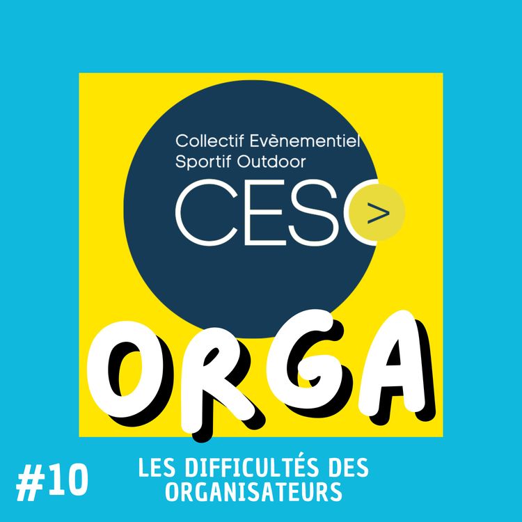 cover art for Les difficultés des organisateurs