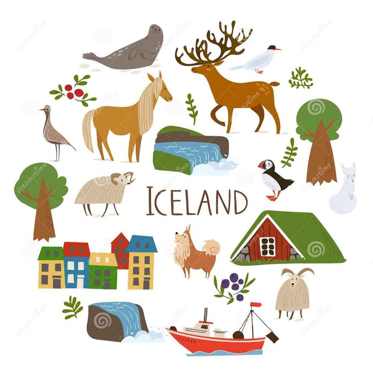 cover art for 实实在在回答就行