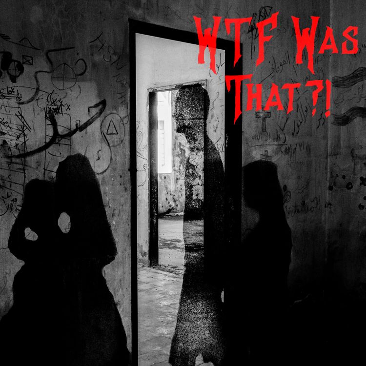 cover art for WTF was That :2 Murder House &Dead Children's Playground