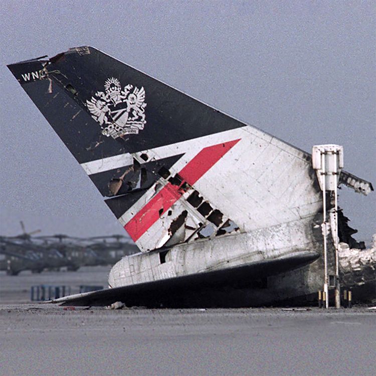 cover art for Hostages of Saddam Hussein: Flight 149