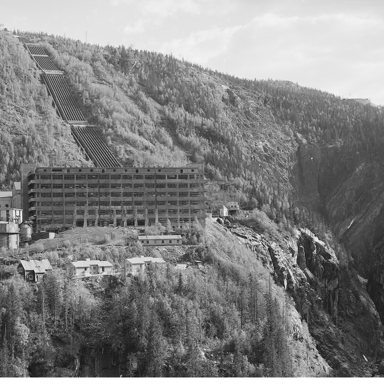 cover art for WW2: The Viking Commandos of Telemark