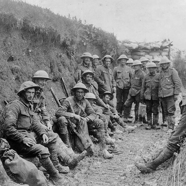 cover art for The Irish at the Somme