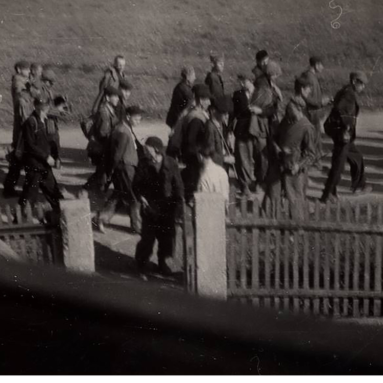 cover art for WW2: Death Marches