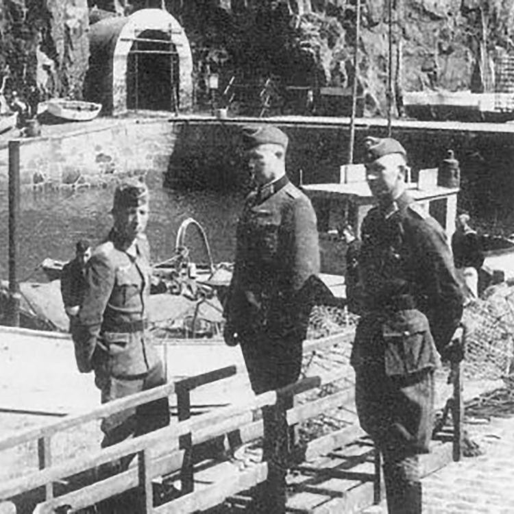 cover art for WW2: Hitler's Operation Basalt