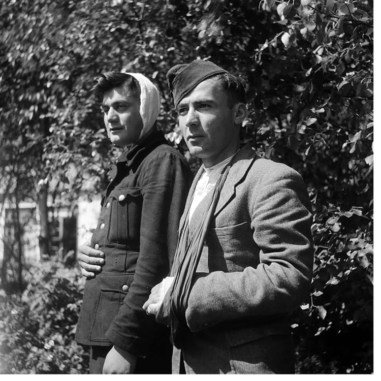 cover art for WW2: The Texel Uprising