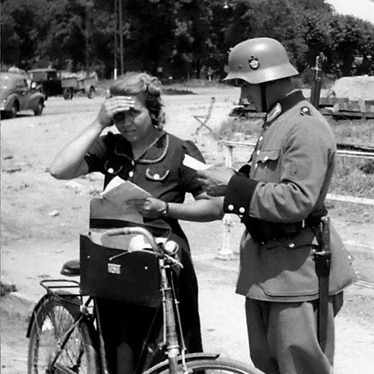 cover art for War Widows of WW2