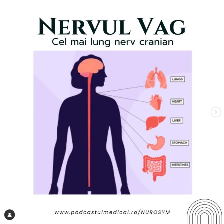 cover art for Sistemul Nervos Autonom & Nervul Vag  | Dr. Madalina Bucataru