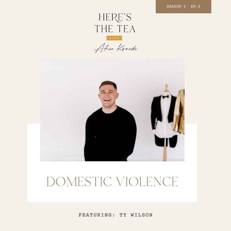 cover art for Domestic Violence with Ty Wilson