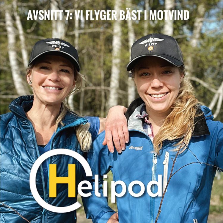 cover art for 7. Vi flyger bäst i motvind