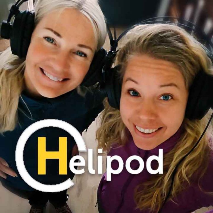 cover art for 8. Survival-kit till ATPL teorin