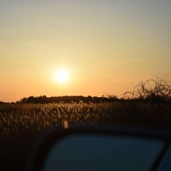 cover art for Rewilding Connection