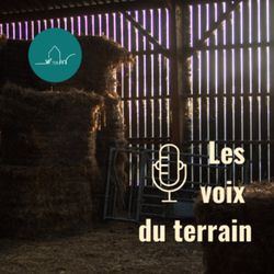 cover art for Les Voix du Terrain