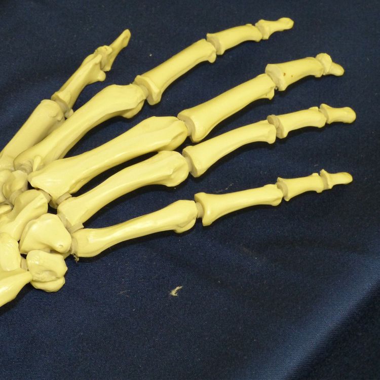 cover art for Souveniers--Cold Fire Ch. 4