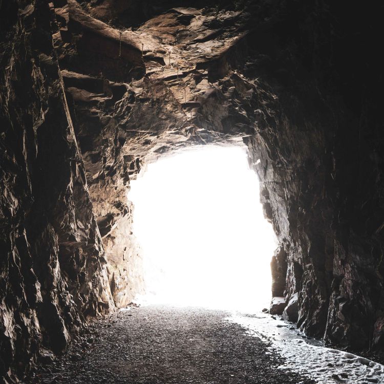 cover art for Magic is Thicker Than Blood-The Will of the Empress Ch. 15