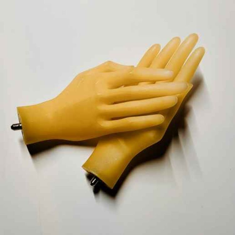 cover art for Liar, Liar, Pants on Fire--The Reptile Room Ch. 12