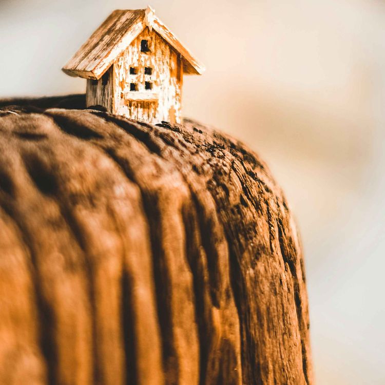 cover art for Third Time's the Charm - The Wide Window Ch. 1