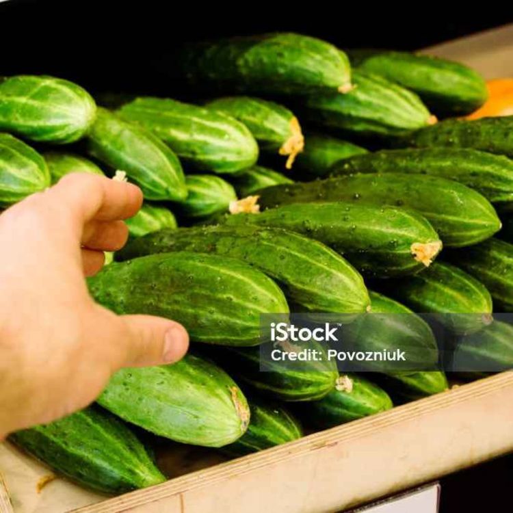 cover art for The Sham Captain -- The Wide Window Ch. 3